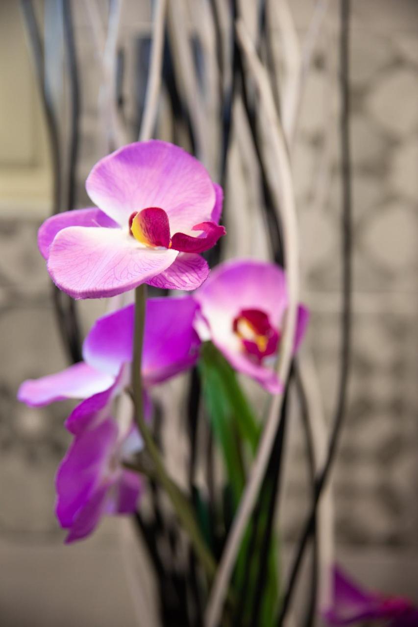 Palermo Suites & Rooms 외부 사진